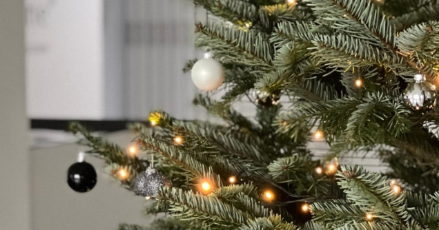 1200x630-Weihnachtsgruesse-2022-Weihnachtsbaum