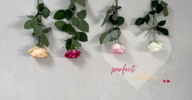 1200x630 Perfect Match News GIGA Line Interbau Blink 2026