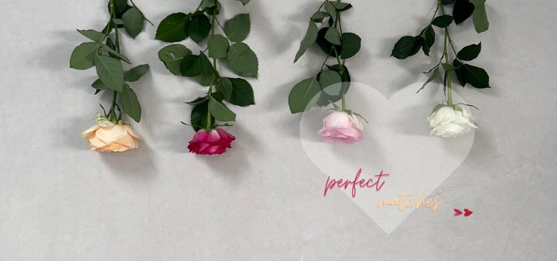 1920x900 Perfect Match News GIGA Line Interbau Blink 2026